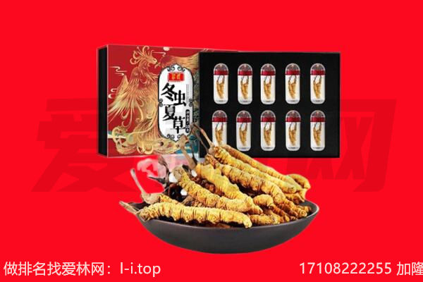 太原娄烦县回收虫草.jpg